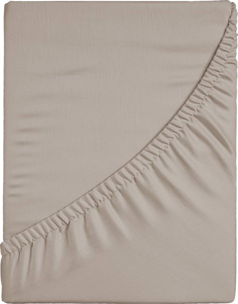 CASATEX Spannbettlaken »Jersey-Elasthan«, mit Elasthan von CASATEX