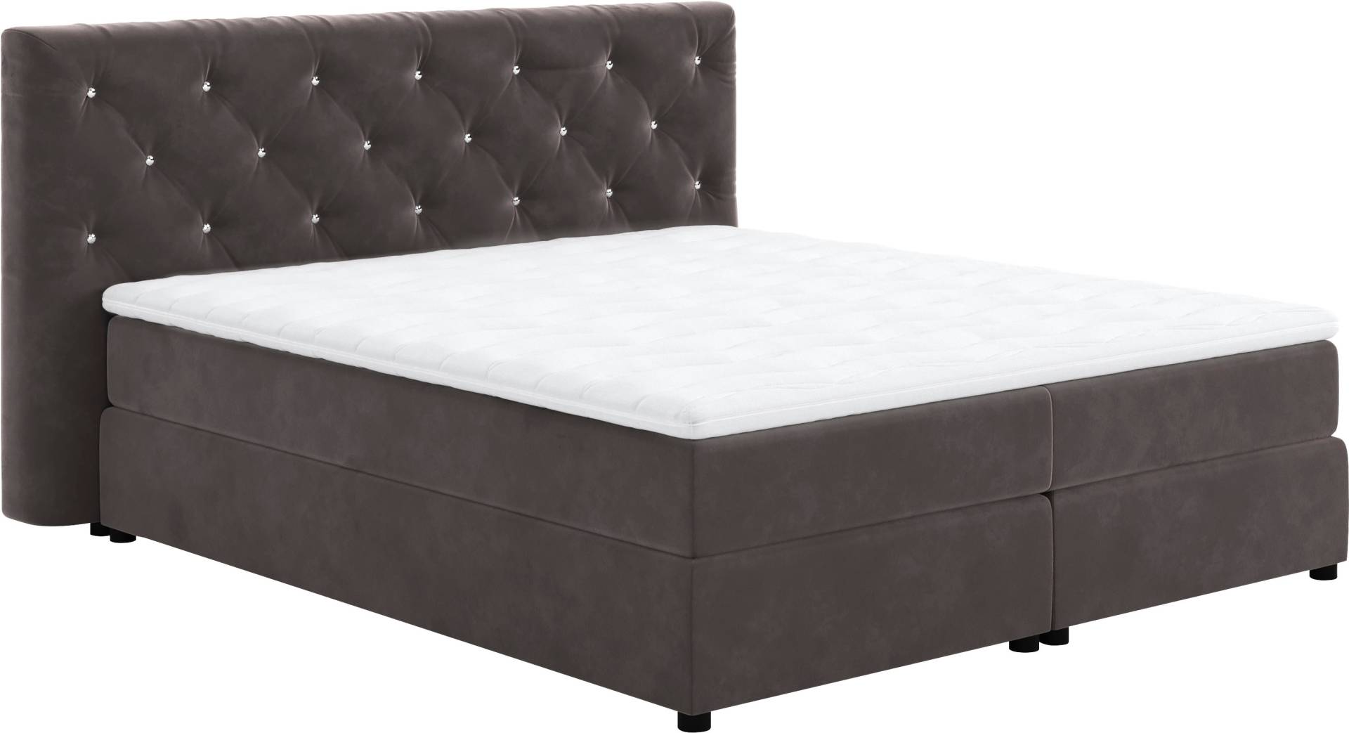 COTTA Boxspringbett »Castle«, mit Strasssteinen im Kopfteil, inkl. Topper COTTA Boxspringbett »Castle«, mit Strasssteinen im Kopfteil, inkl. Topper von COTTA