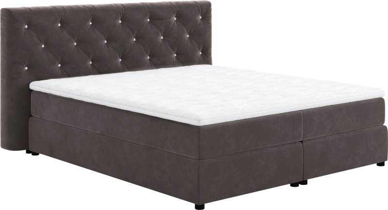 COTTA Boxspringbett »Castle«, mit Strasssteinen im Kopfteil, inkl. Topper von COTTA
