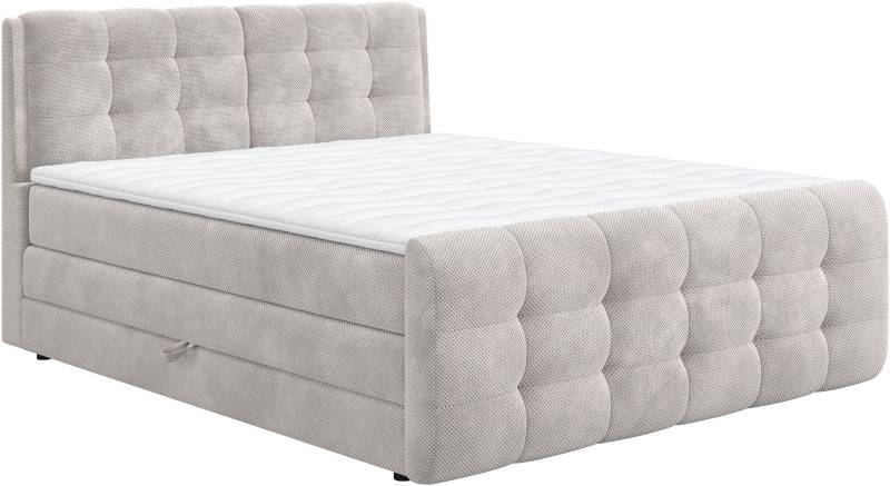 COTTA Boxspringbett »Fort mit Bettkasten, inkl. Topper«, erhältlich in verschiedenen Breiten (160cm, 180cm & 200cm) von COTTA
