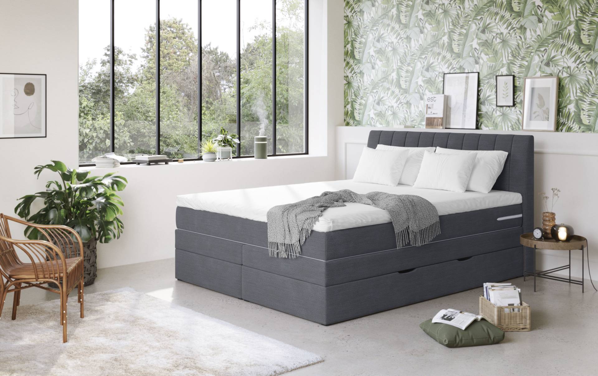 COTTA Boxspringbett »Shark inkl. Bettkasten und Topper«, erhältlich in den Breiten 140x200cm, 160x200cm und 180x200cm von COTTA