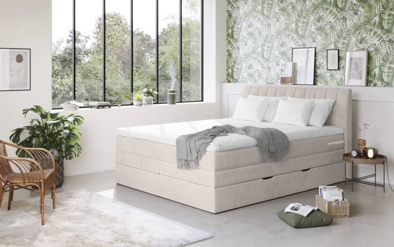 COTTA Boxspringbett »Shark inkl. Bettkasten und Topper«, erhältlich in den Breiten 140x200cm, 160x200cm und 180x200cm von COTTA