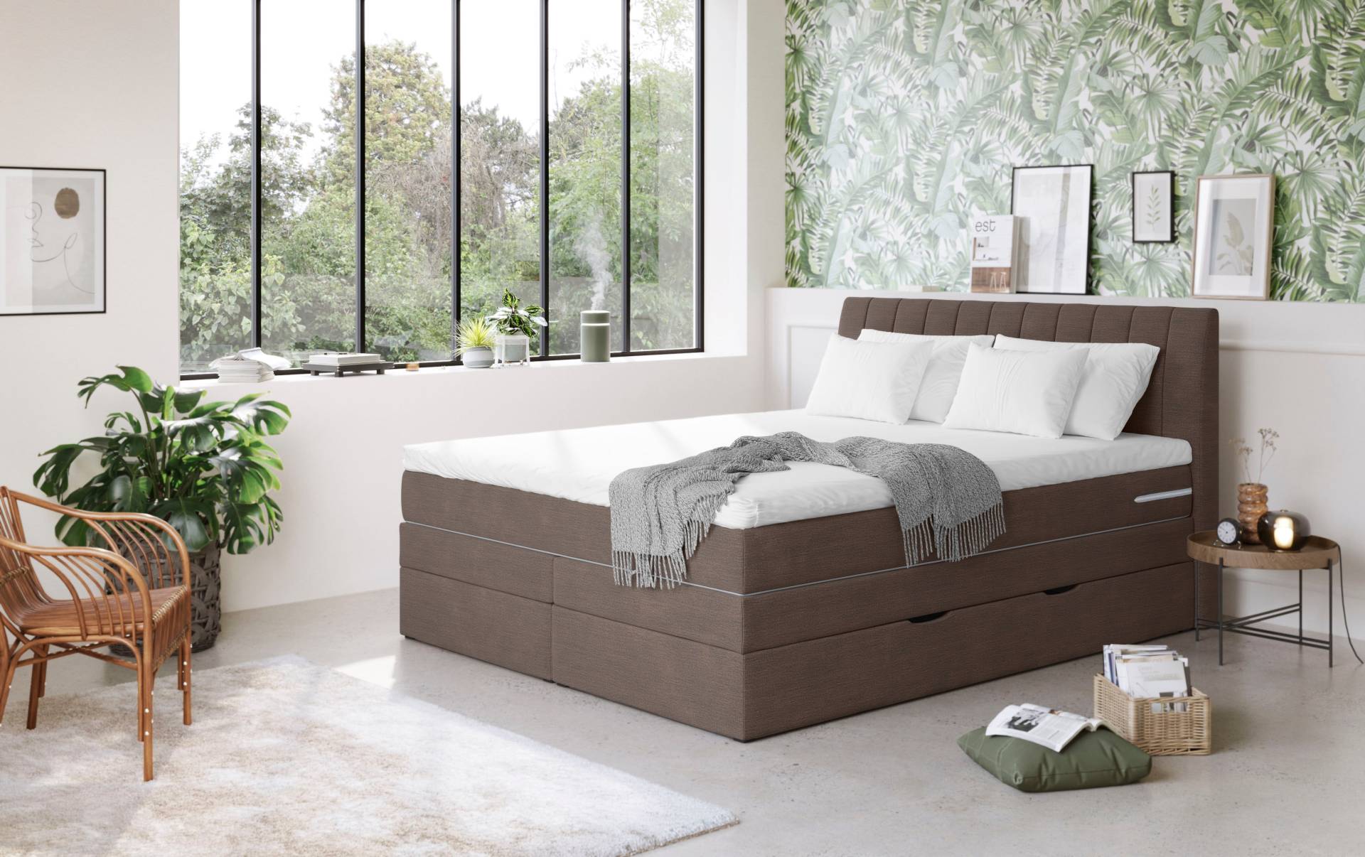 COTTA Boxspringbett »Shark inkl. Bettkasten und Topper«, erhältlich in den Breiten 140x200cm, 160x200cm und 180x200cm COTTA Boxspringbett »Shark inkl. Bettkasten und Topper«, erhältlich in den Breiten 140x200cm, 160x200cm und 180x200cm von COTTA