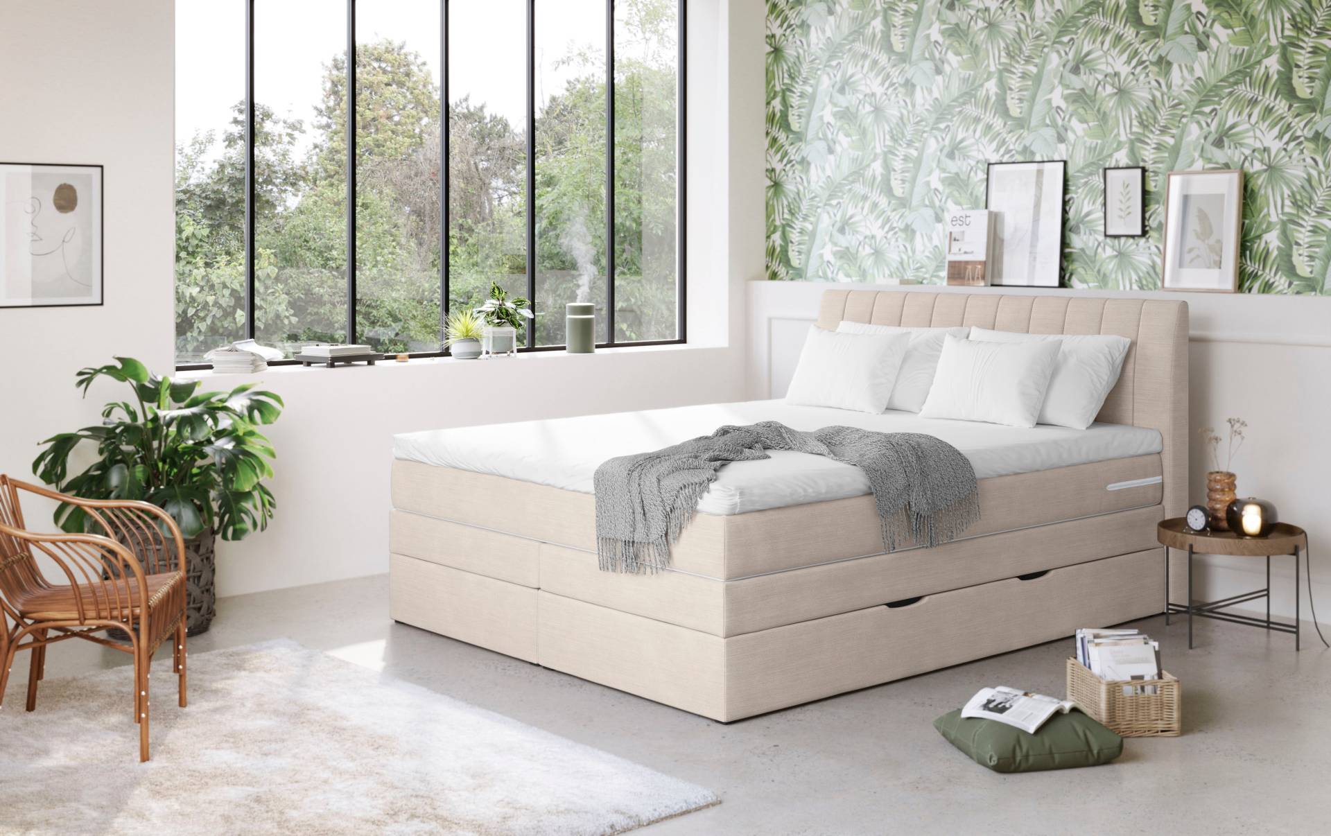 COTTA Boxspringbett »Shark inkl. Bettkasten und Topper«, erhältlich in den Breiten 140x200cm, 160x200cm und 180x200cm COTTA Boxspringbett »Shark inkl. Bettkasten und Topper«, erhältlich in den Breiten 140x200cm, 160x200cm und 180x200cm von COTTA