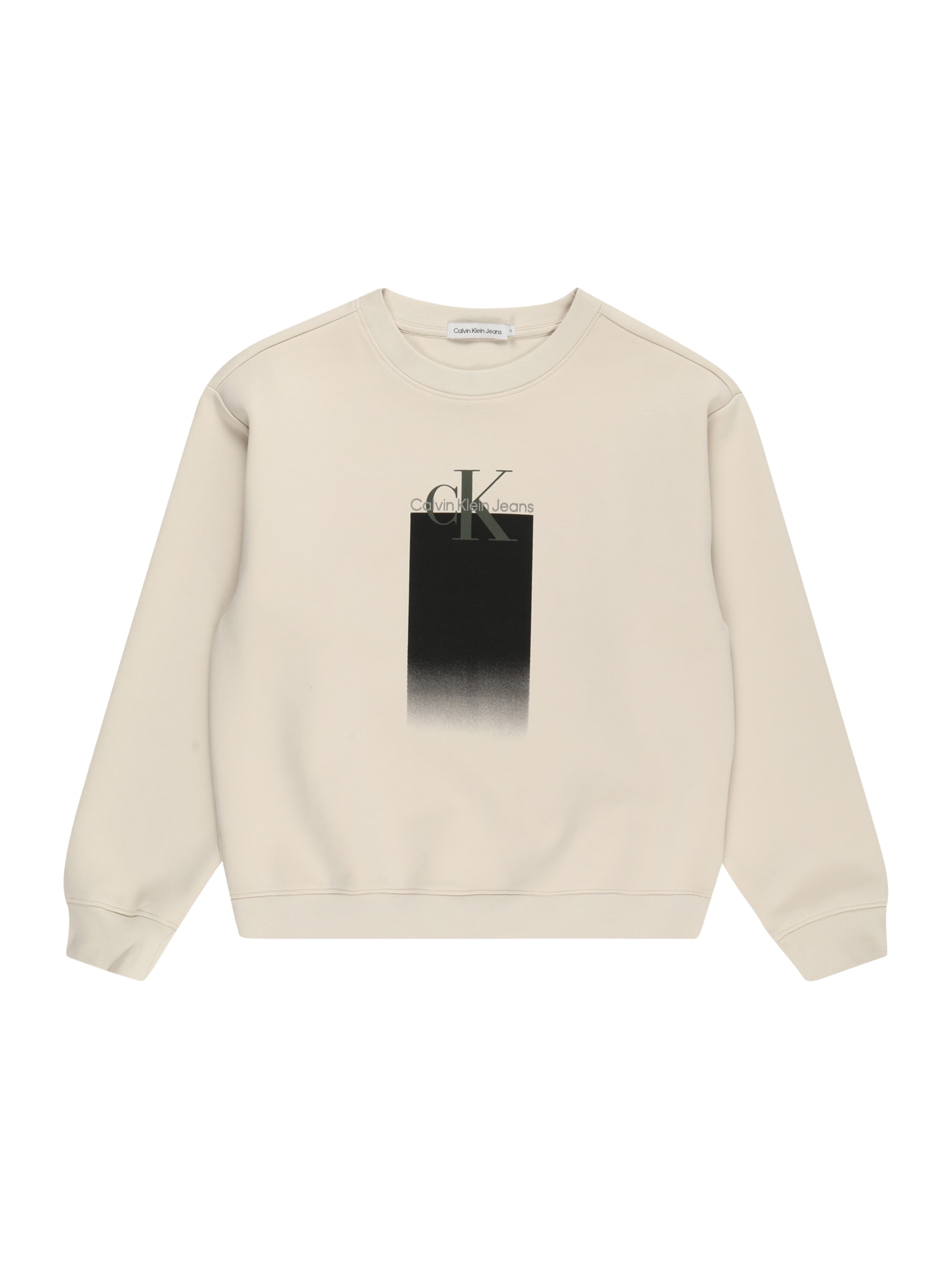 Sweatshirt Sweatshirt von Calvin Klein Jeans