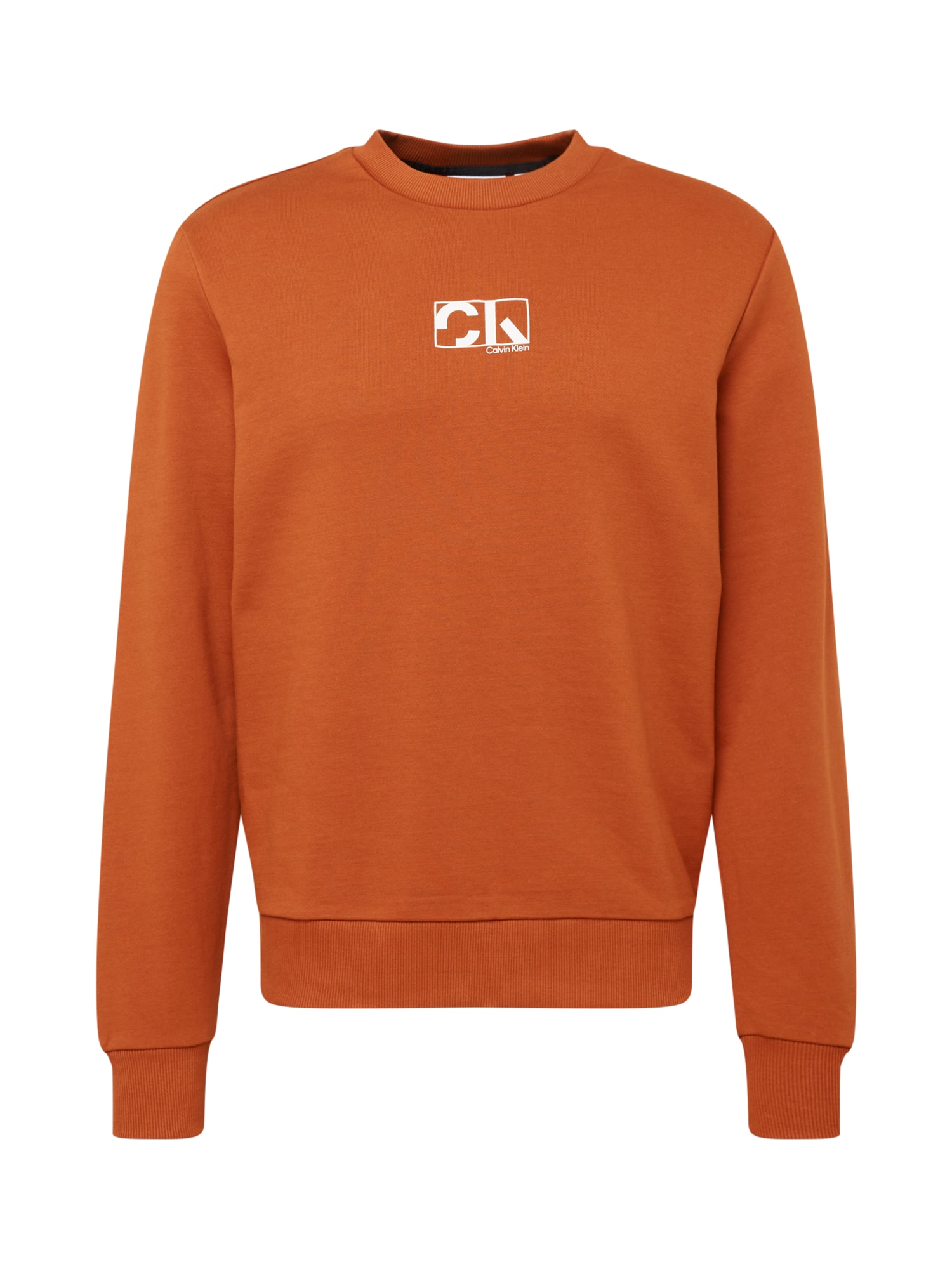Sweatshirt Sweatshirt von Calvin Klein