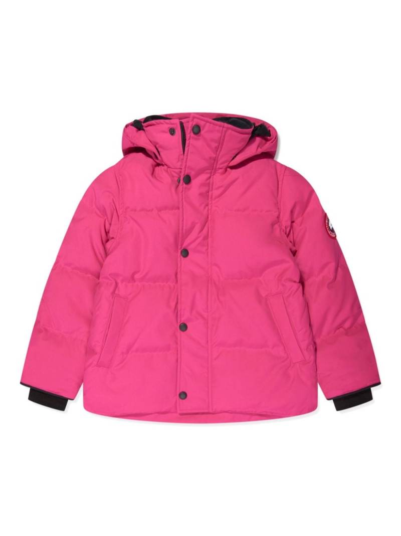 Canada Goose Kids Snowy Owl padded parka jacket - Pink von Canada Goose Kids