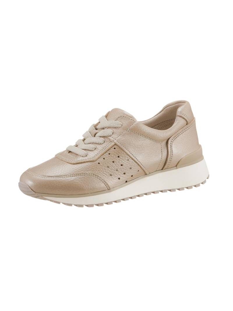 Caprice Sneaker von Caprice