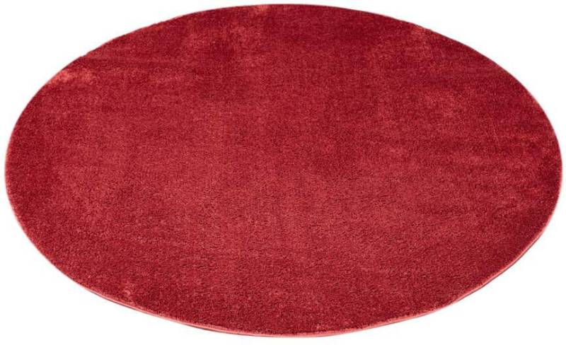 Carpet City Teppich »Softshine 2236«, rund, besonders weich, Uni Farben, ideal für Wohnzimmer & Schlafzimmer von Carpet City