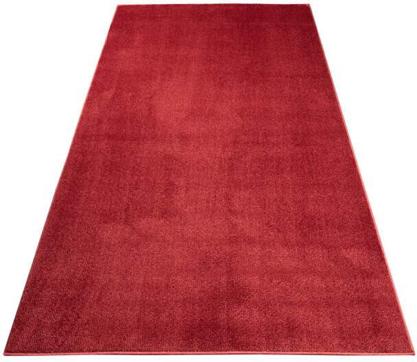 Carpet City Teppich »Softshine 2236«, rechteckig, 14 mm Höhe, Läufer, Hochflor, besonders weich, robust, Uni, Wohnzimmer von Carpet City