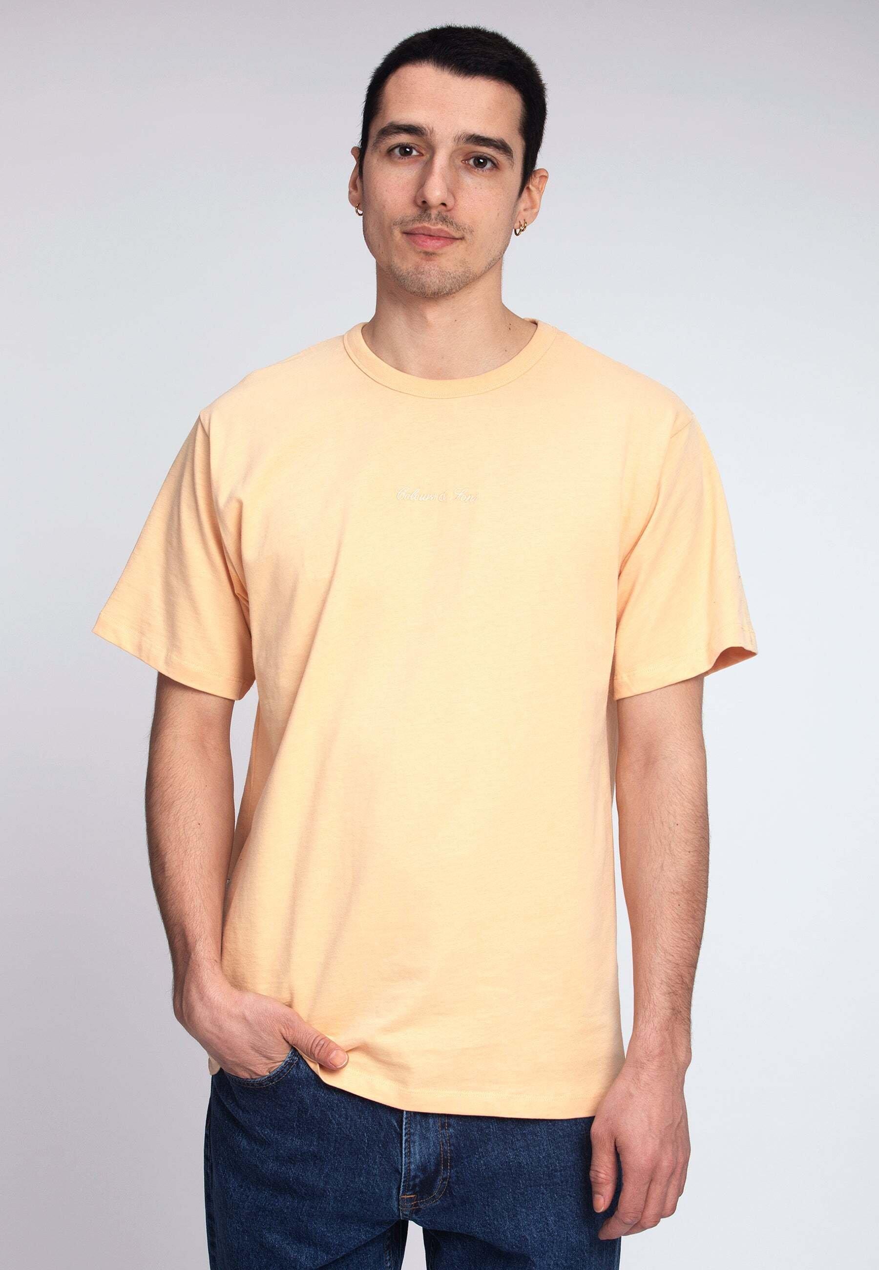 T-shirts T-shirt Basic Embroidery Herren Orange XXXL von Colours & Sons