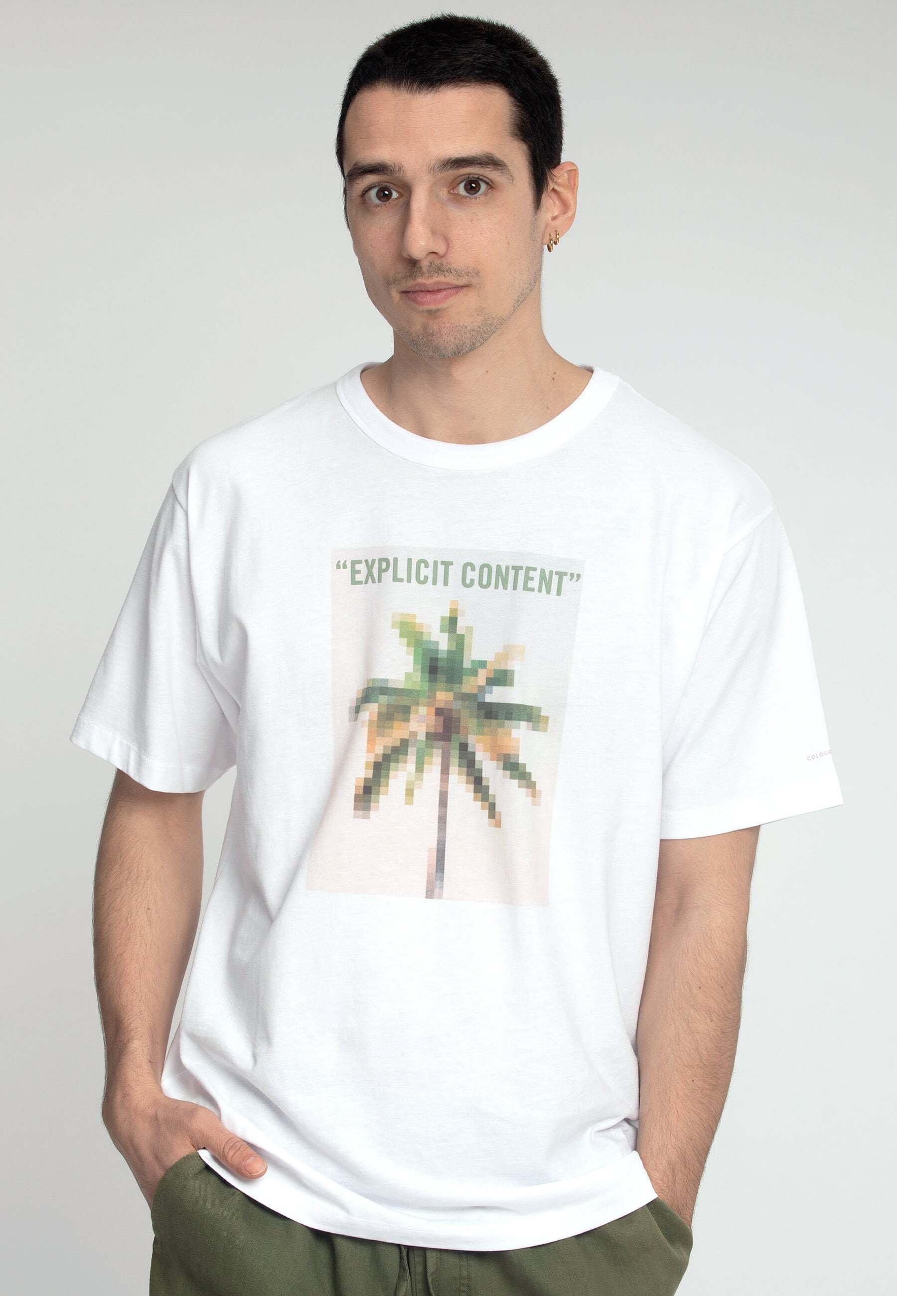 T-shirts T-shirt Palm Print Herren Beige XL von Colours & Sons