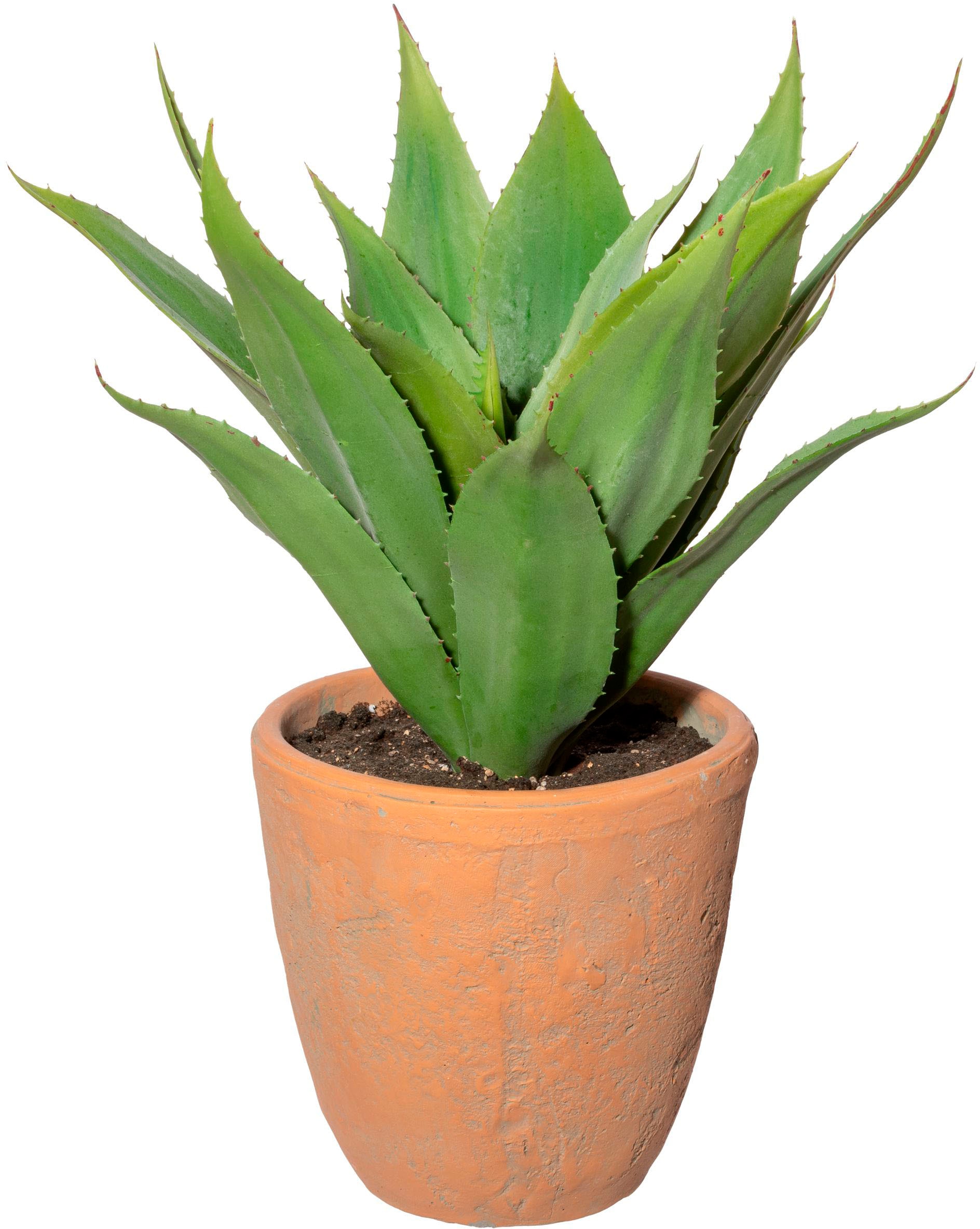 Creativ green Künstliche Zimmerpflanze »Agave im Terracottatopf« von Creativ green