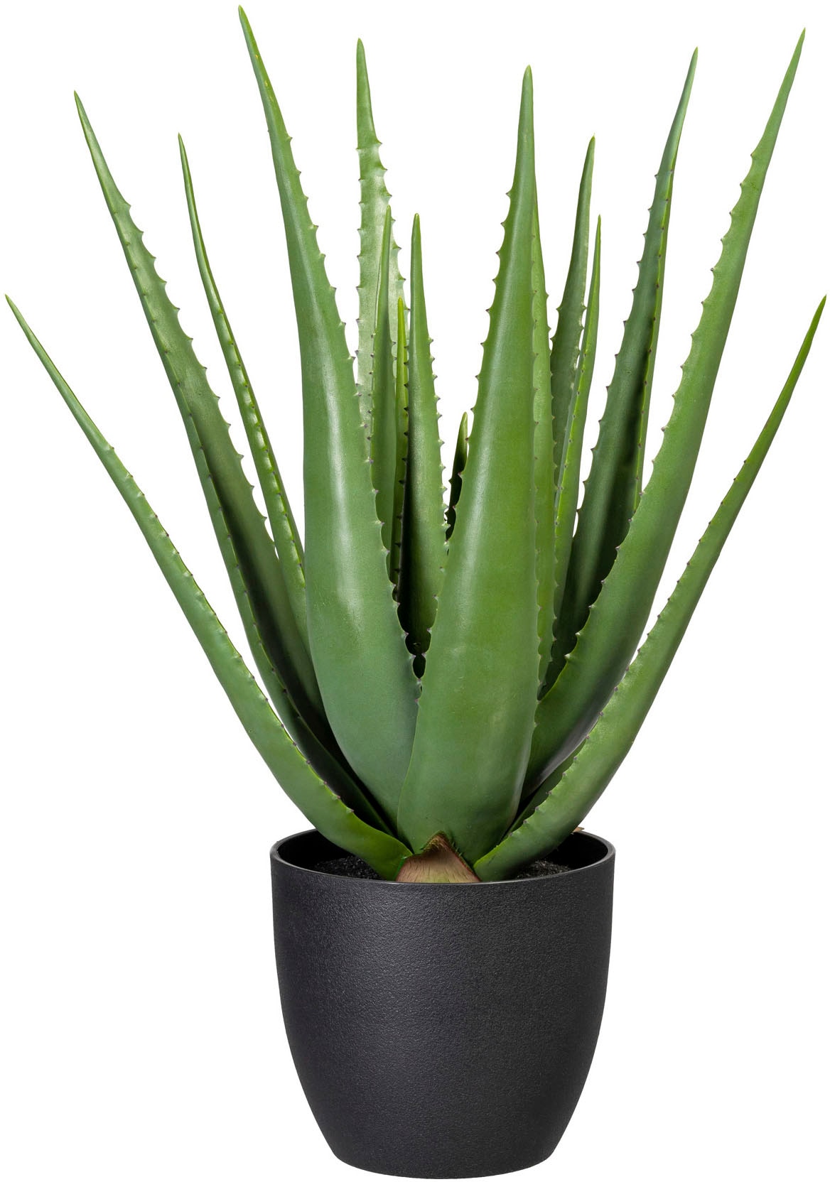 Creativ green Künstliche Zimmerpflanze »Aloe« von Creativ green