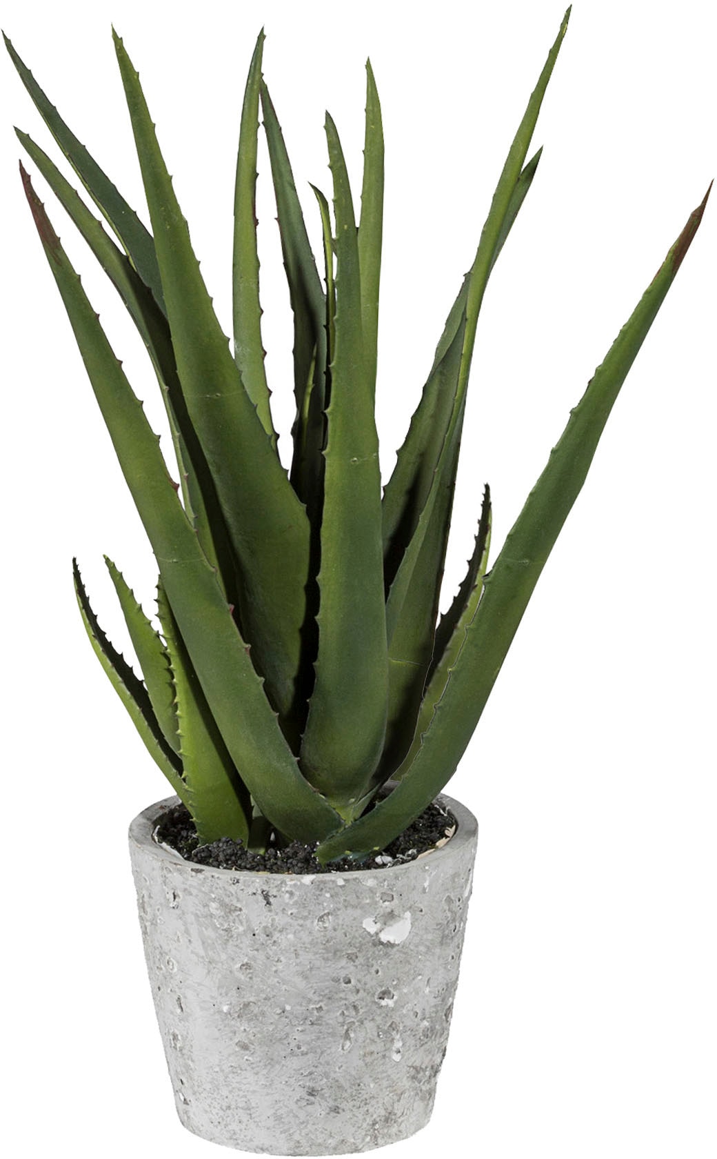 Creativ green Künstliche Zimmerpflanze »Aloe im Zementtopf« Creativ green Künstliche Zimmerpflanze »Aloe im Zementtopf« von Creativ green