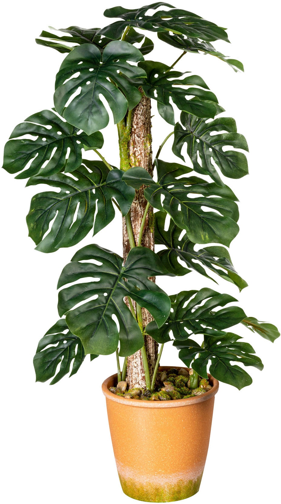 Creativ green Künstliche Zimmerpflanze »Blattpflanze Splitphilodendron« von Creativ green