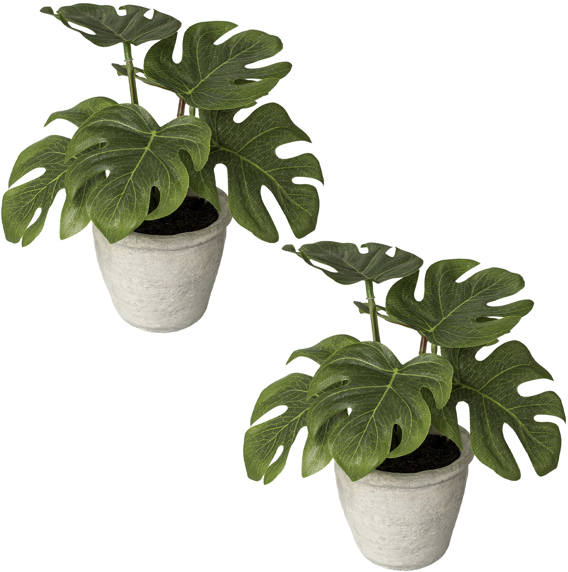 Creativ green Künstliche Zimmerpflanze »Blattpflanze Splitphilodendron« von Creativ green