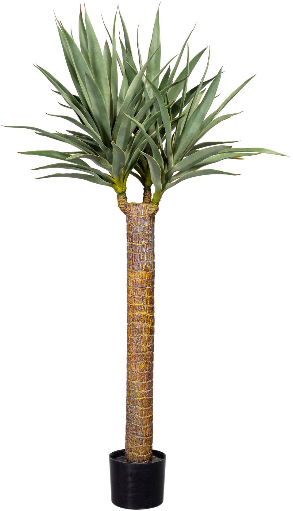 Creativ green Künstliche Zimmerpflanze »Dracaena« von Creativ green