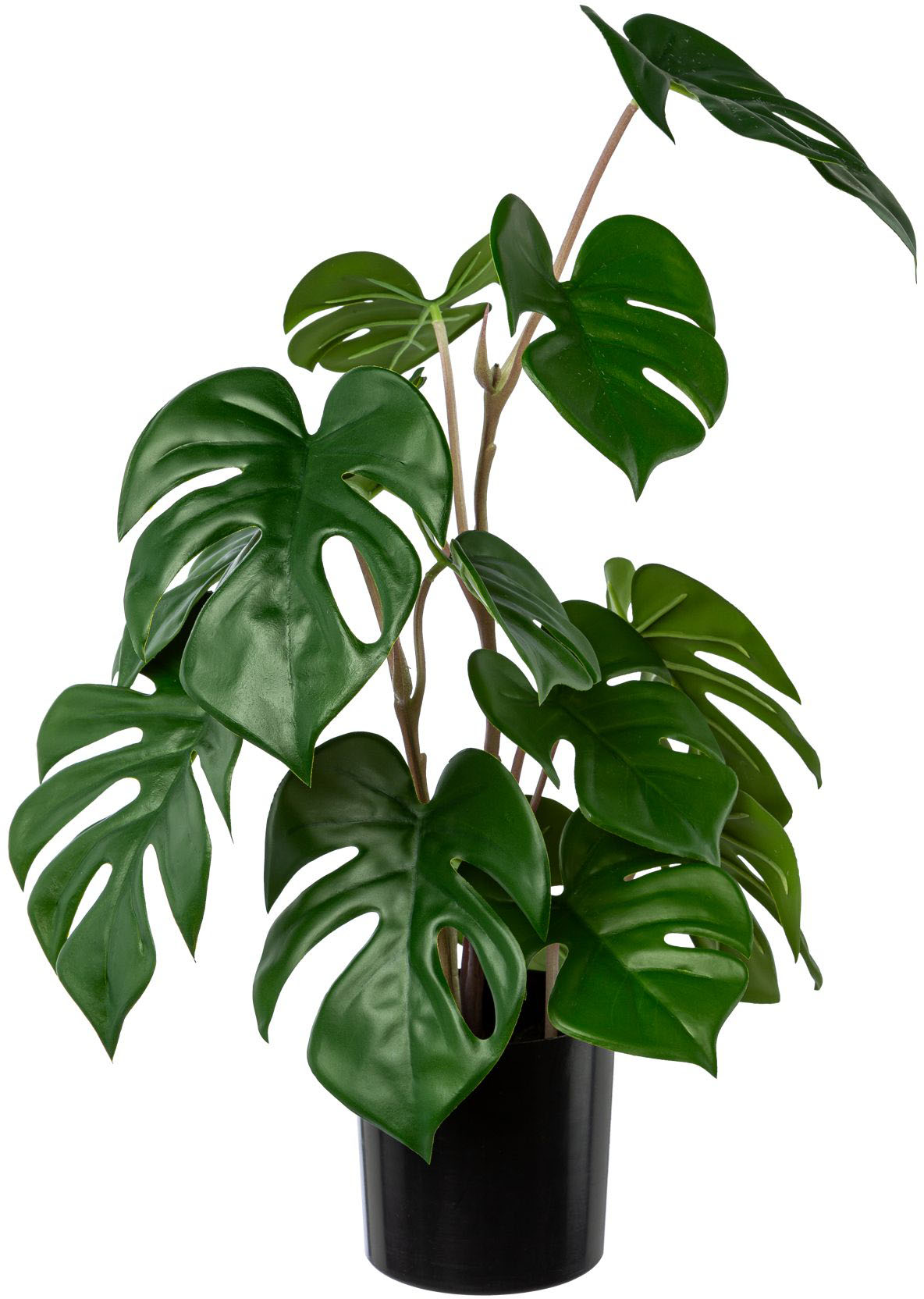Creativ green Künstliche Zimmerpflanze »Split-Philodendron-Pflanze« von Creativ green