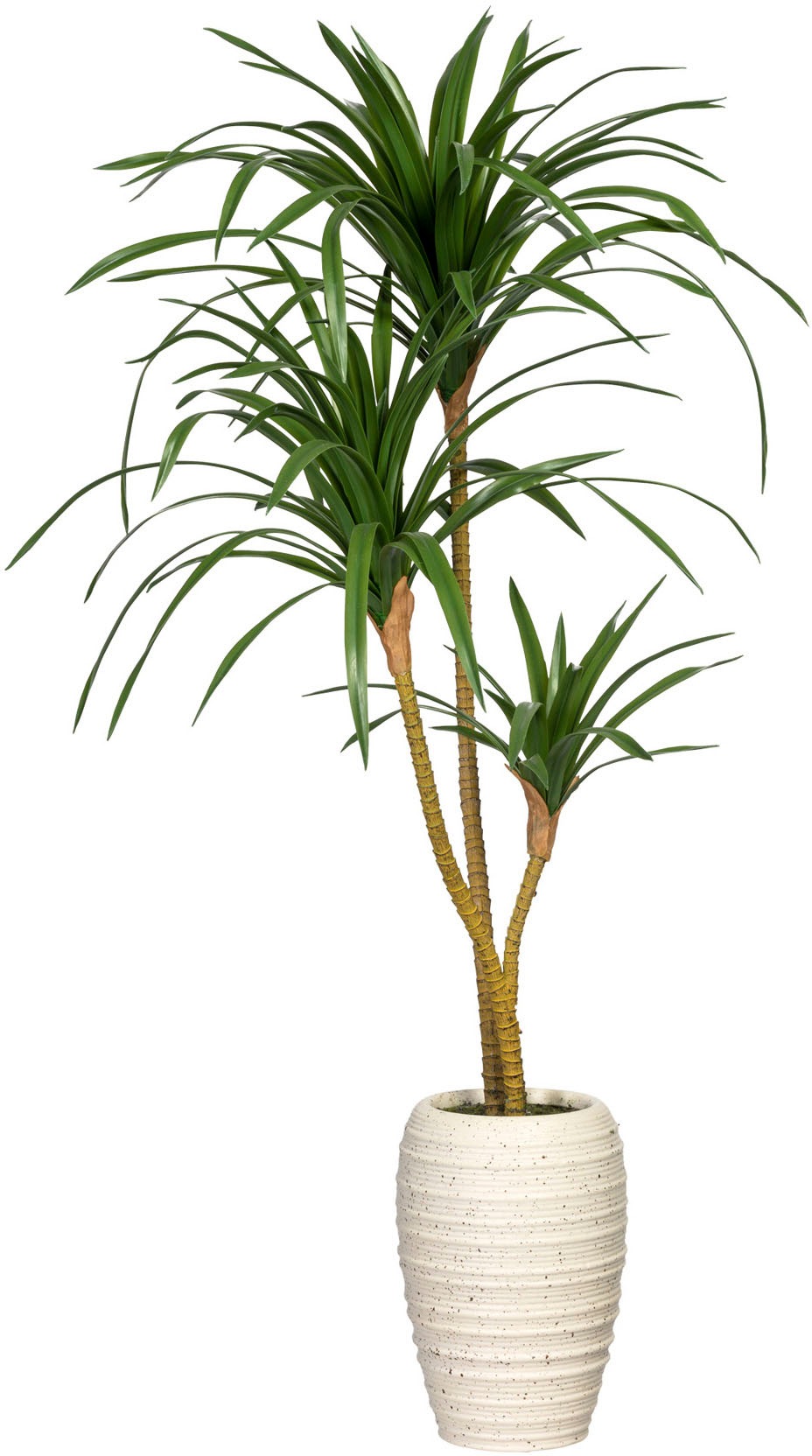 Creativ green Künstliche Zimmerpflanze »Dracaena marginata« von Creativ green