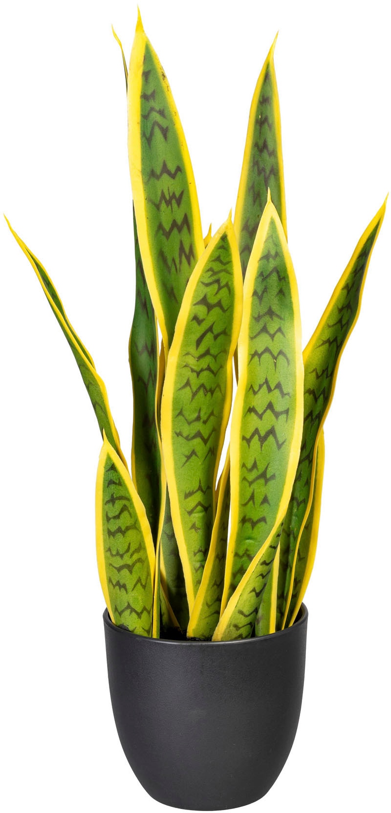 Creativ green Künstliche Zimmerpflanze »Sanseveria« von Creativ green
