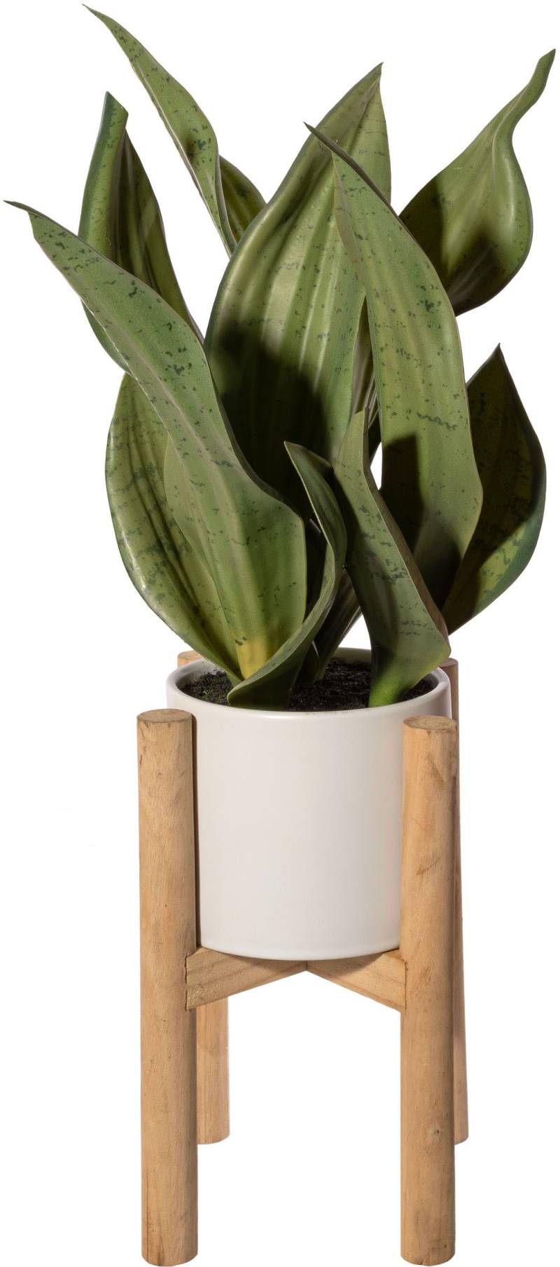 Creativ green Künstliche Zimmerpflanze »Sanseveria im Keramiktopf auf Holzrack«, auf Holzrack von Creativ green
