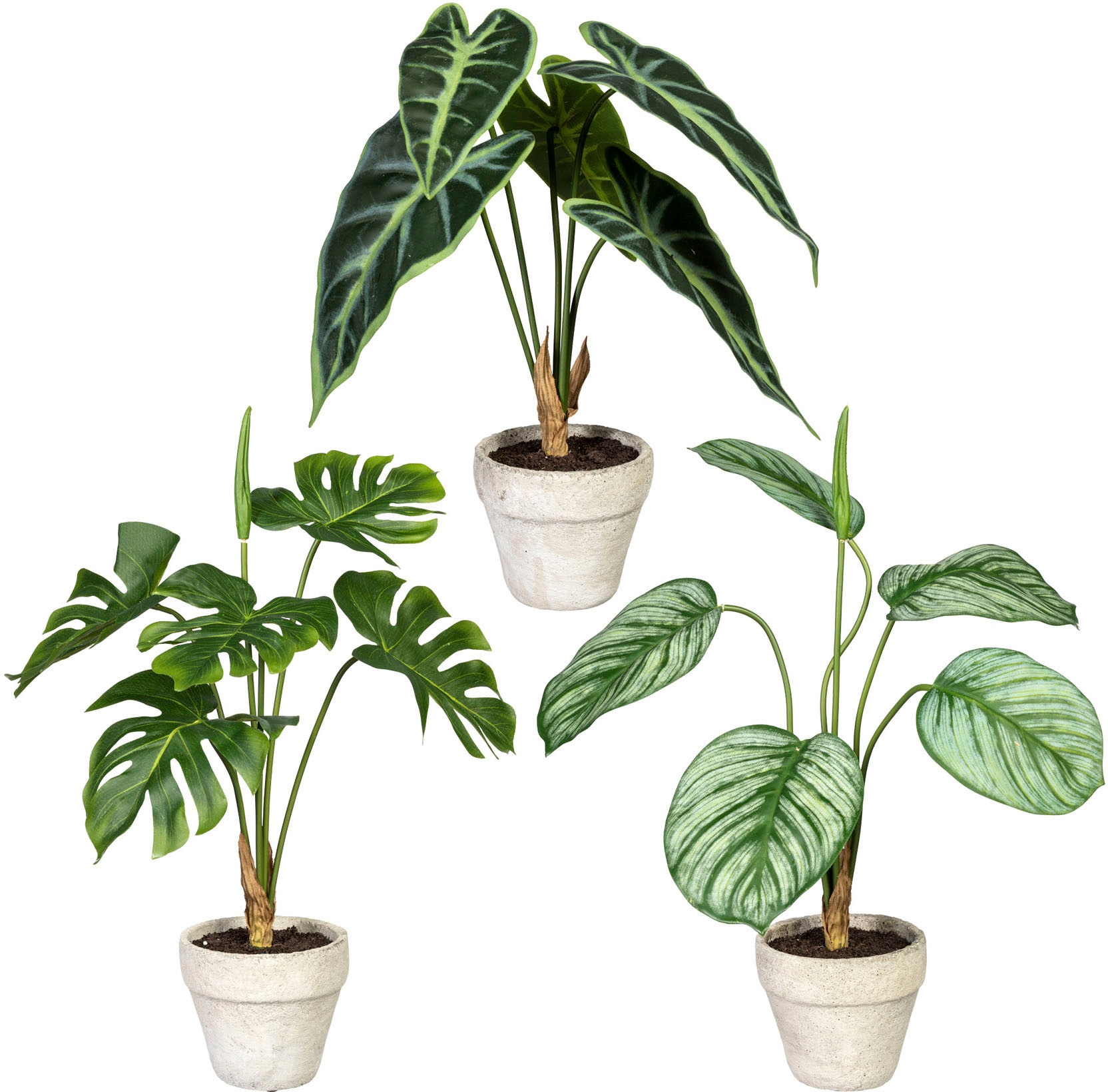 Creativ green Künstliche Zimmerpflanze »Set aus Grünpflanzen« von Creativ green