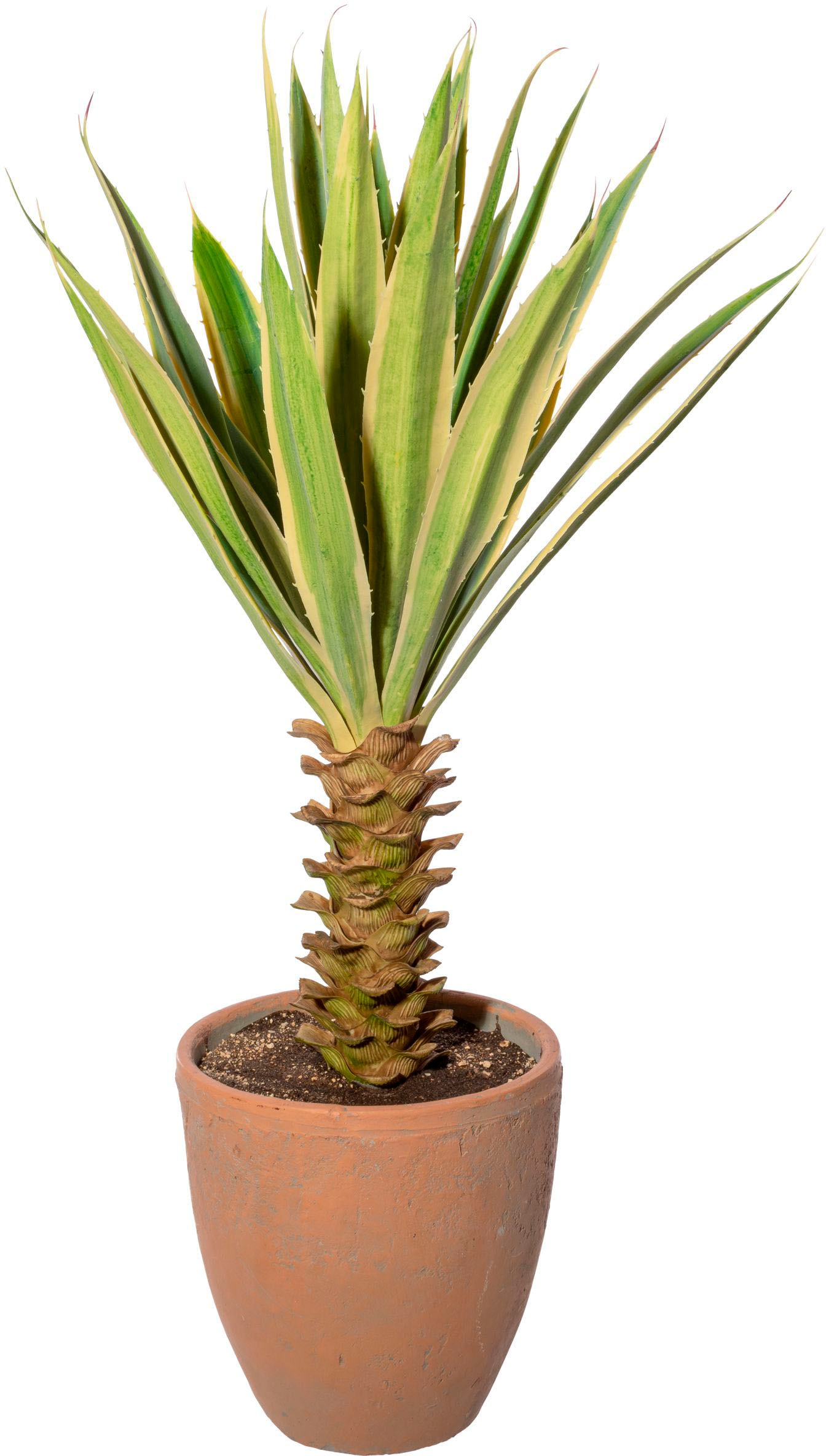 Creativ green Künstliche Zimmerpflanze »Yucca im Terracottatopf« von Creativ green