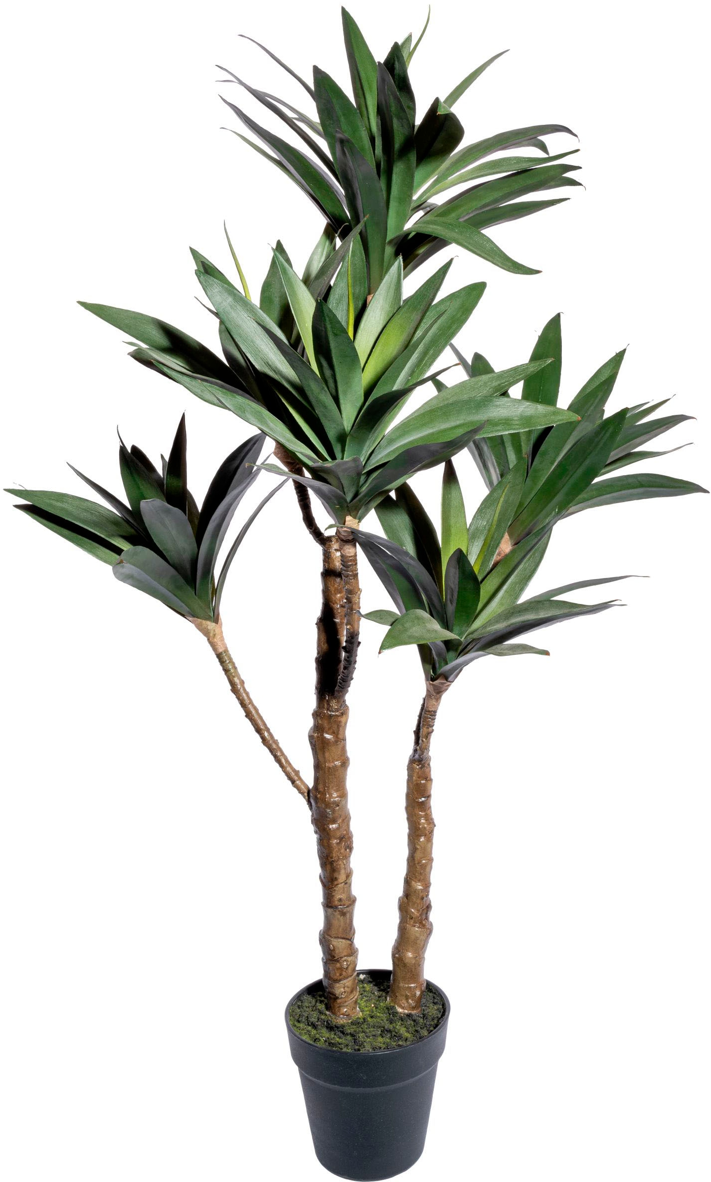 Creativ green Künstliche Zimmerpflanze »Yuccapflanze im Topf« von Creativ green