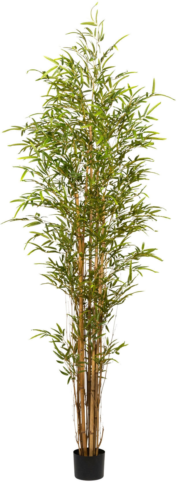 Creativ green Kunstbaum »Bambus« von Creativ green