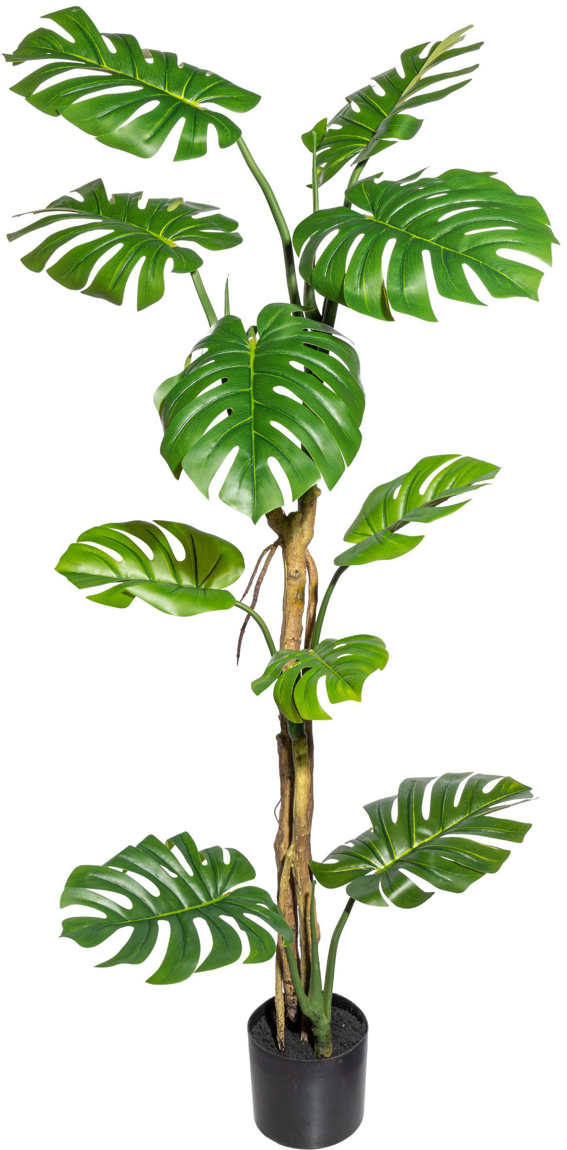 Creativ green Kunstbaum »Splitphilodendron« von Creativ green