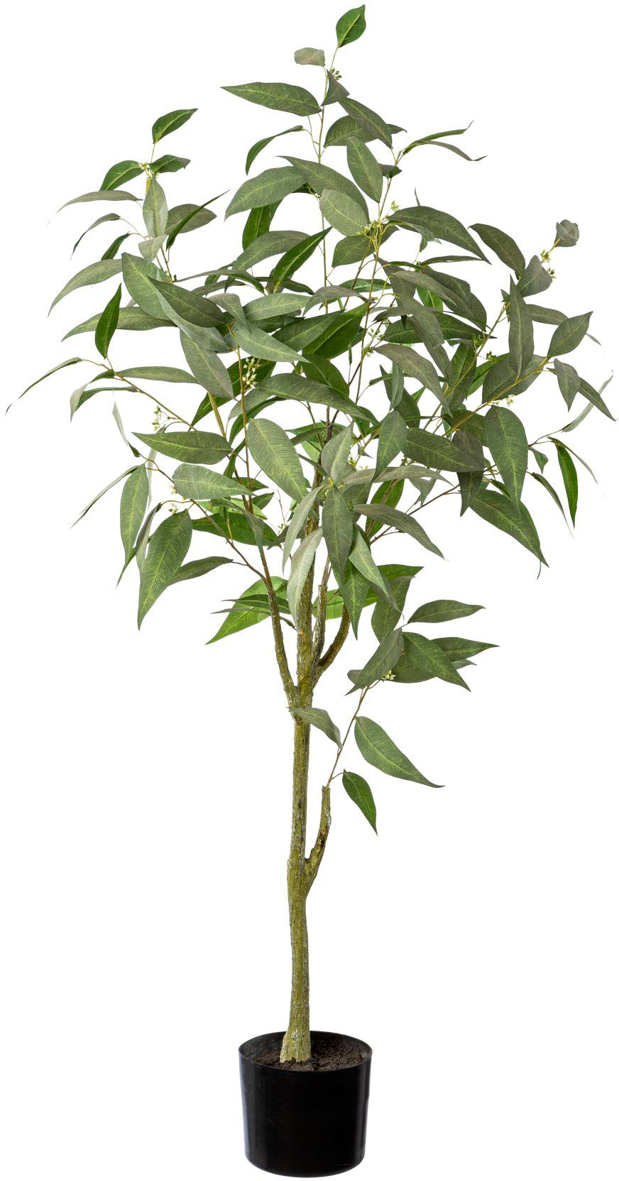 Creativ green Kunstbaum »Eukalypthusbaum«