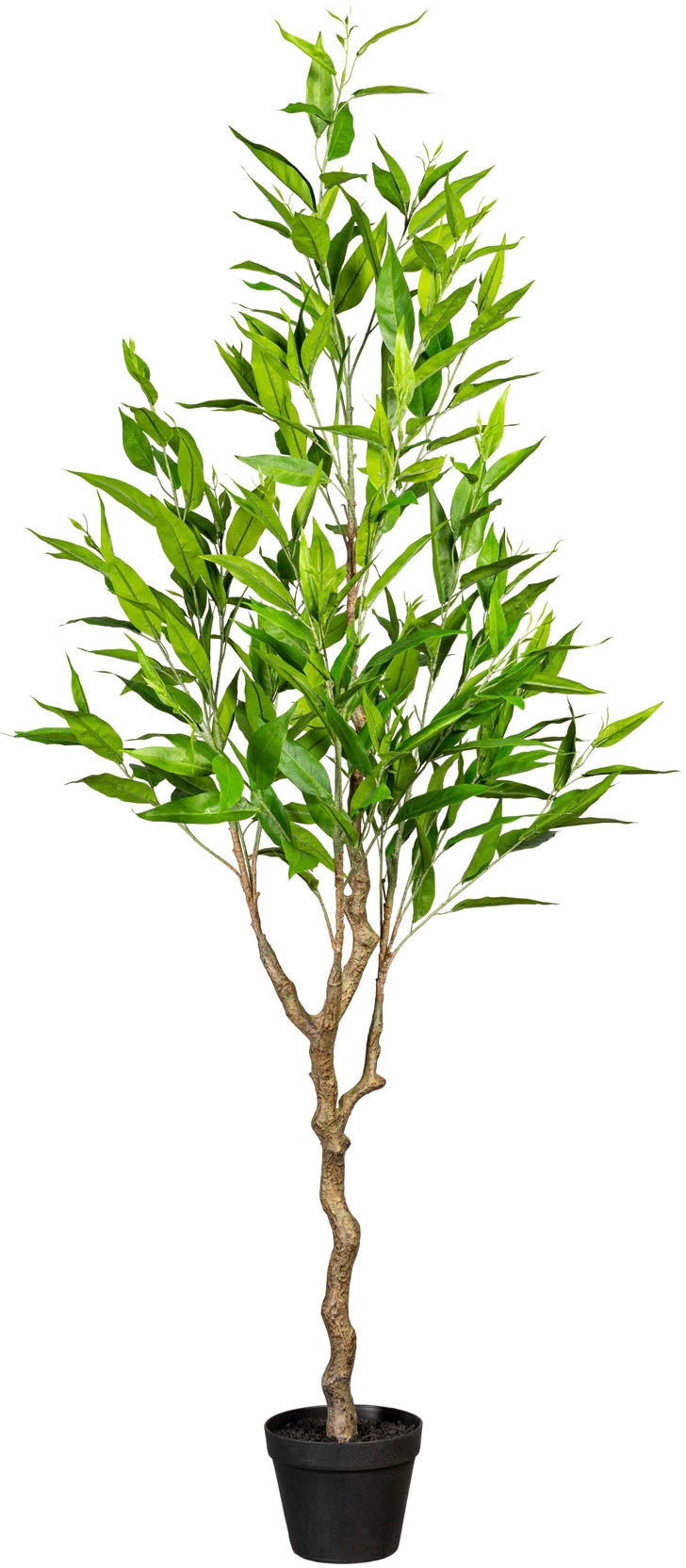 Creativ green Kunstbaum »Eukalypthus« von Creativ green