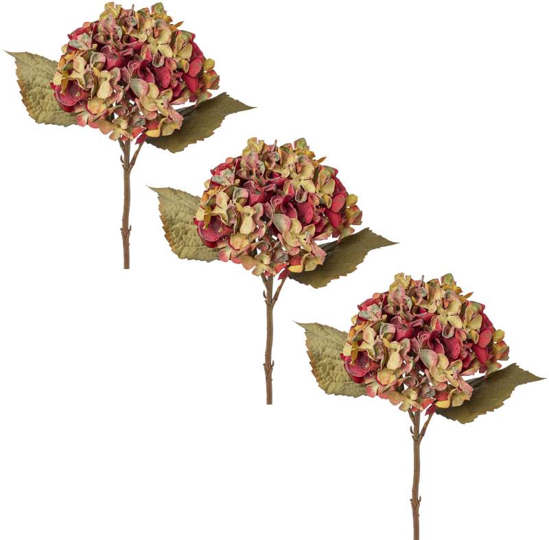 Creativ green Kunstblume »Hortensie« von Creativ green