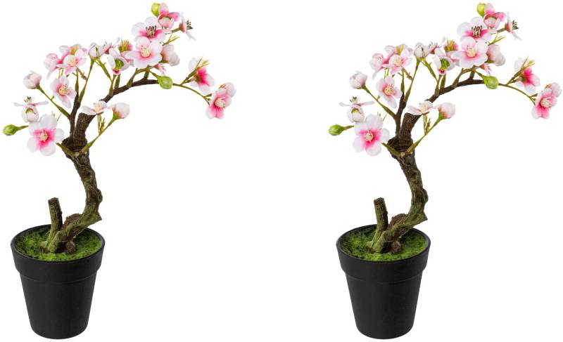 Creativ green Kunstblume »Mandelbonsai im Topf« von Creativ green
