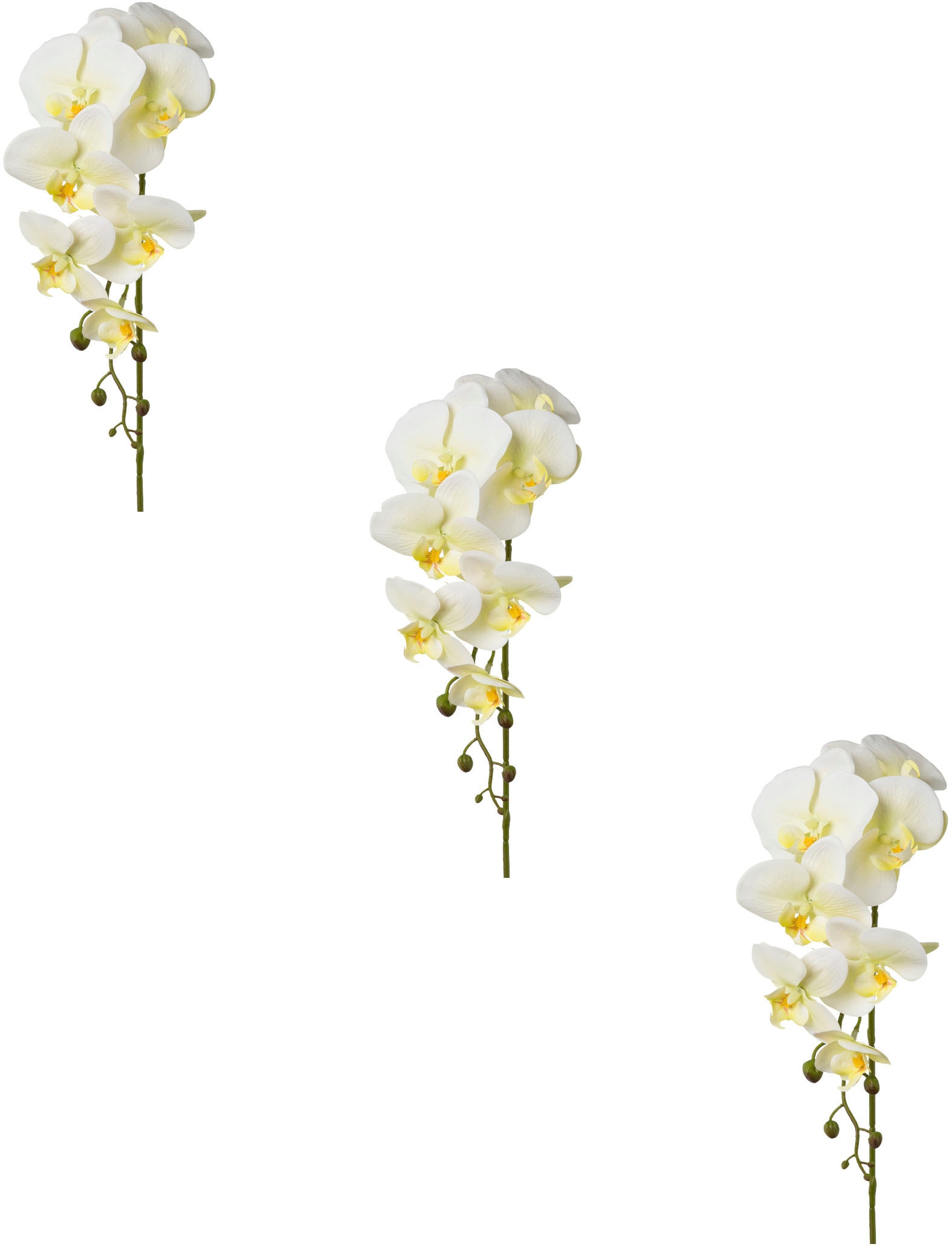 Creativ green Kunstblume »Orchidee Phalaenopsis« Creativ green Kunstblume »Orchidee Phalaenopsis« von Creativ green