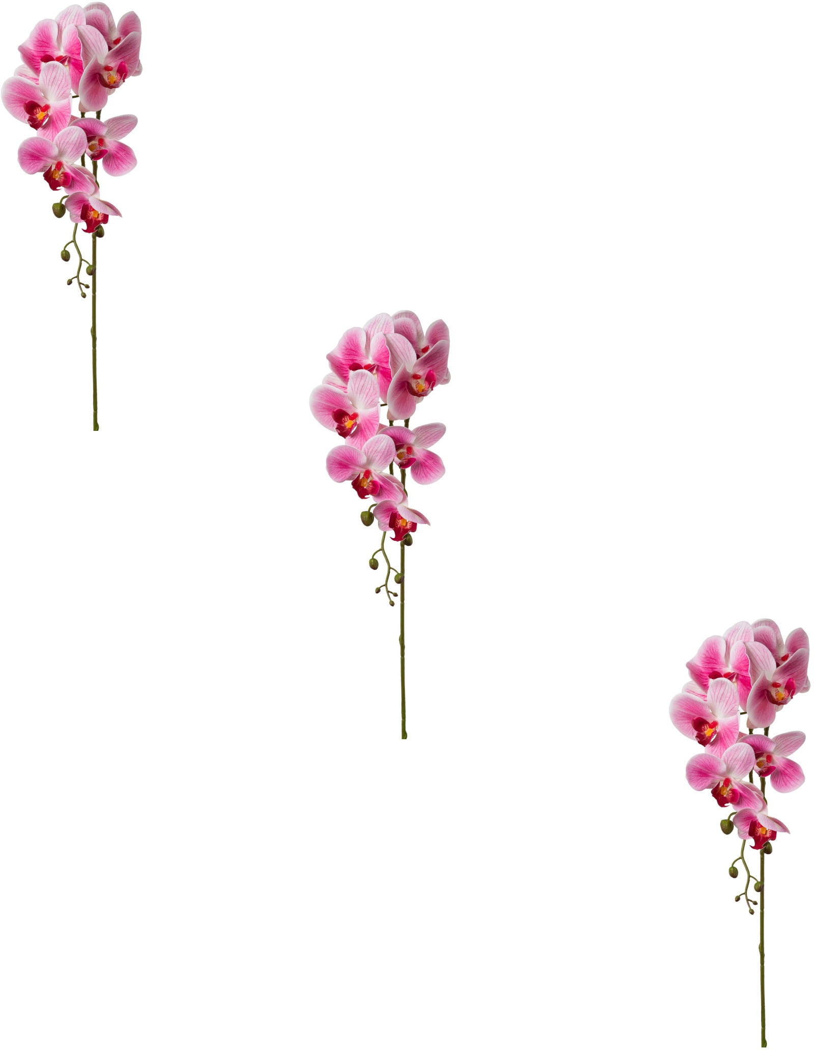 Creativ green Kunstblume »Orchidee Phalaenopsis« von Creativ green