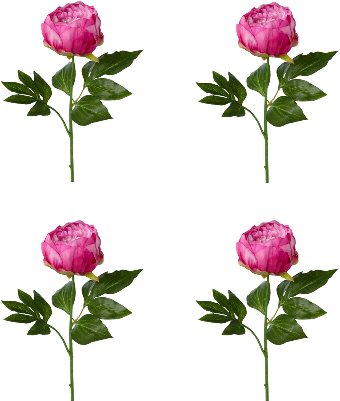 Creativ green Kunstblume »Peonie« von Creativ green