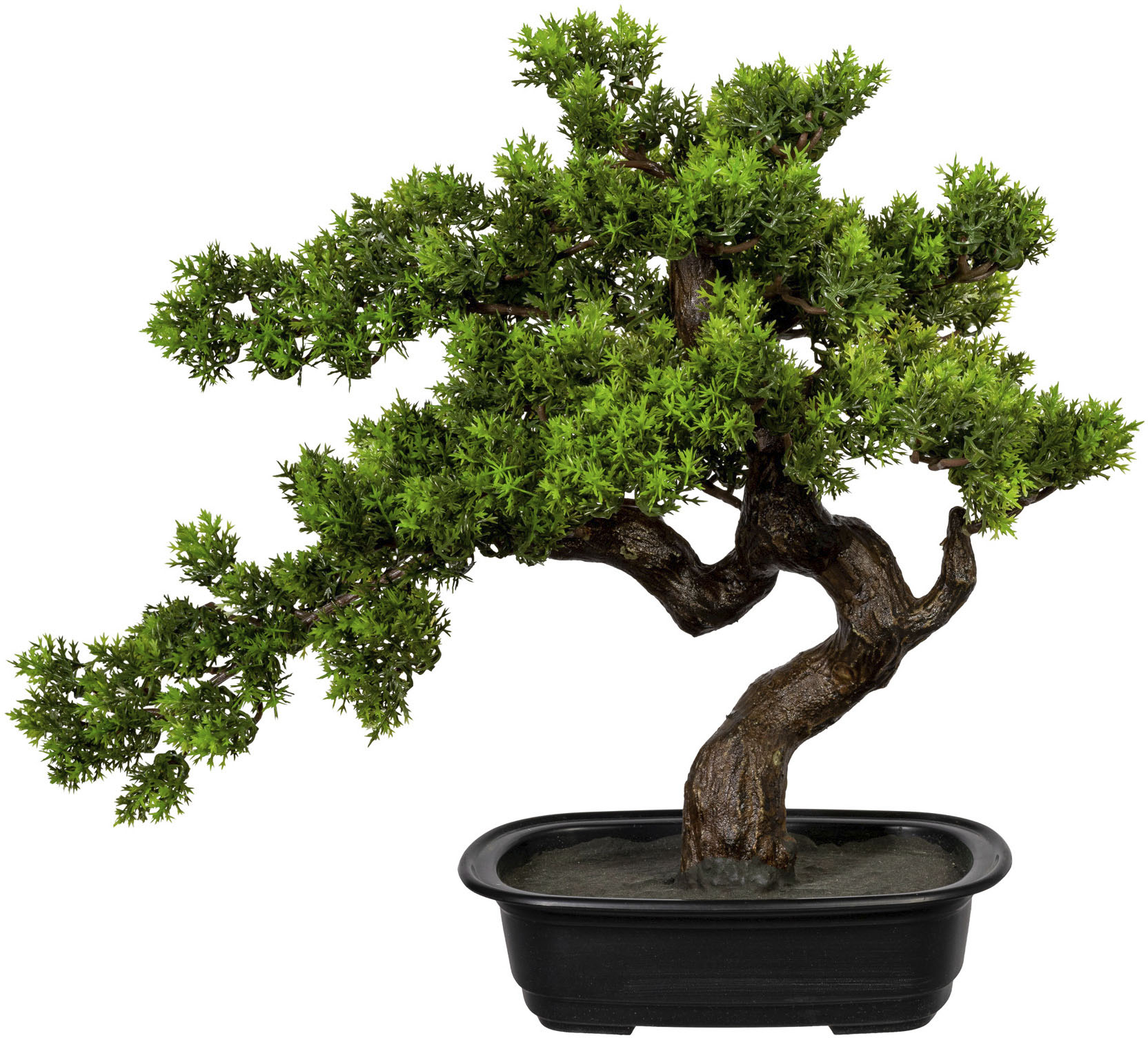 Creativ green Kunstbonsai »Bonsai« von Creativ green