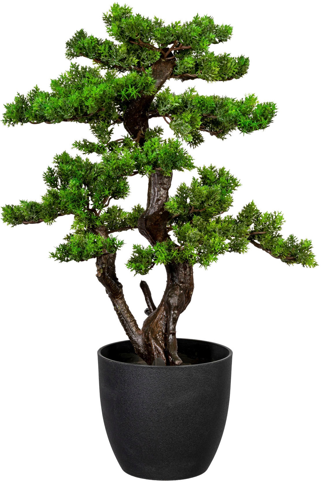 Creativ green Kunstbonsai »Bonsai« von Creativ green