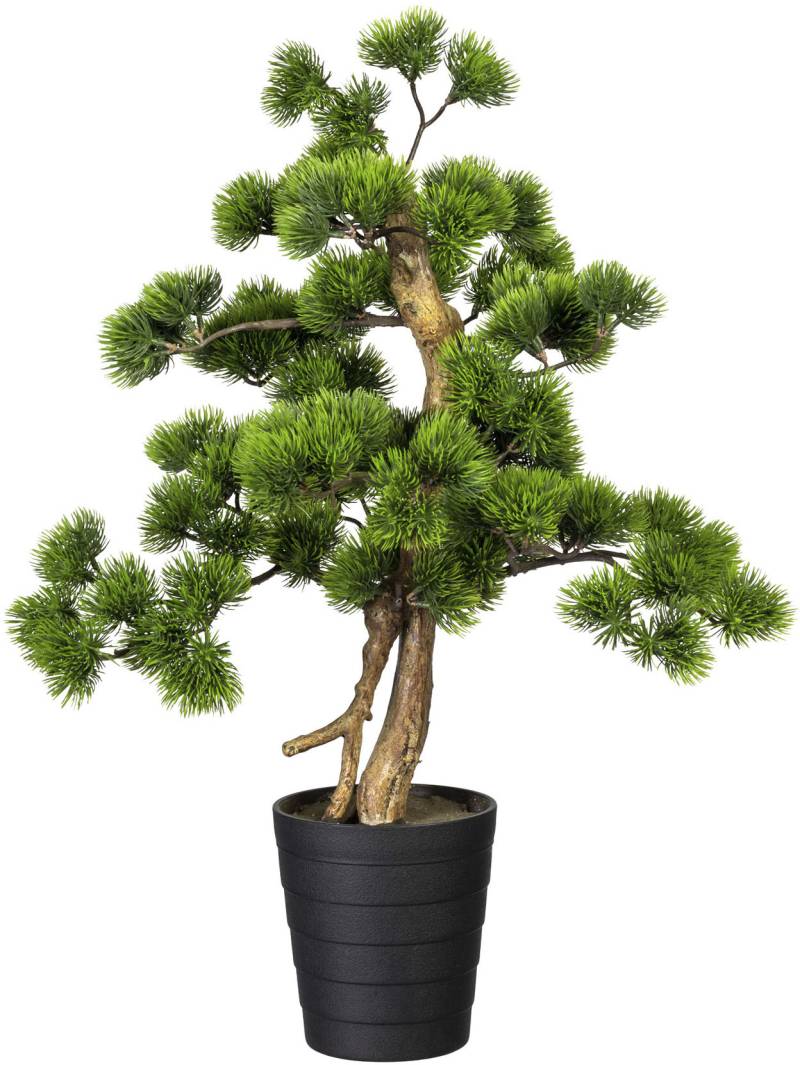 Creativ green Kunstbonsai »Bonsai Kiefer« von Creativ green