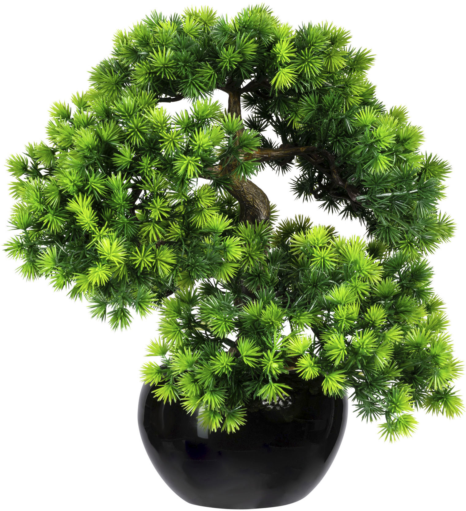 Creativ green Kunstbonsai »Bonsai Lärche« von Creativ green