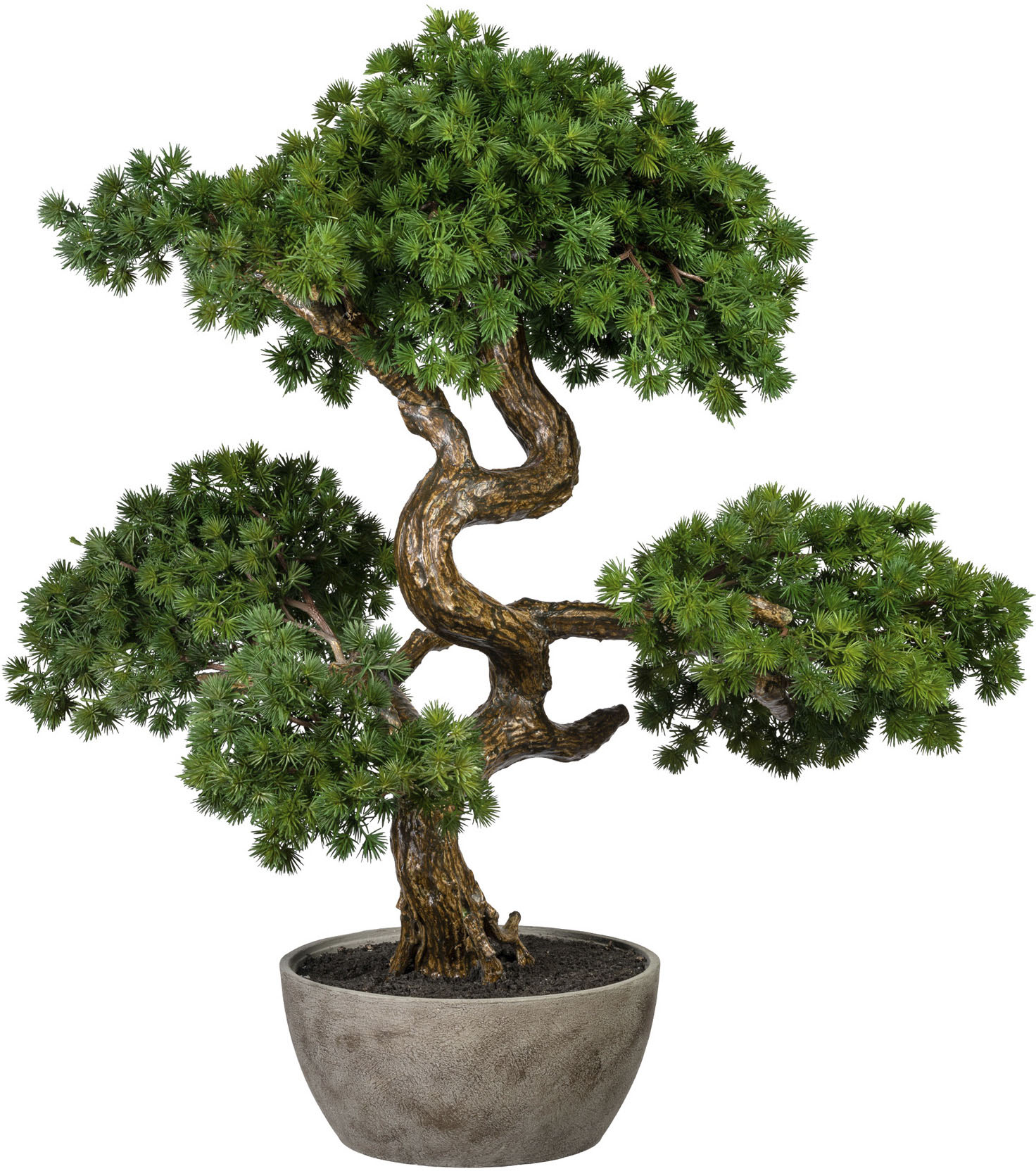 Creativ green Kunstbonsai »Bonsai Lärche« von Creativ green