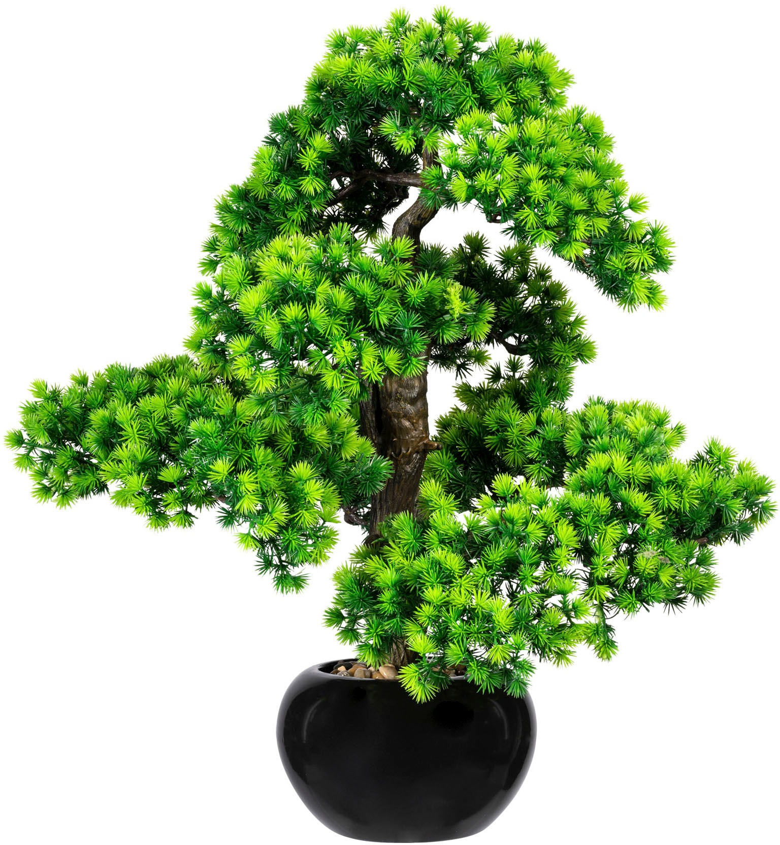 Creativ green Kunstbonsai »Bonsai Lärche« von Creativ green