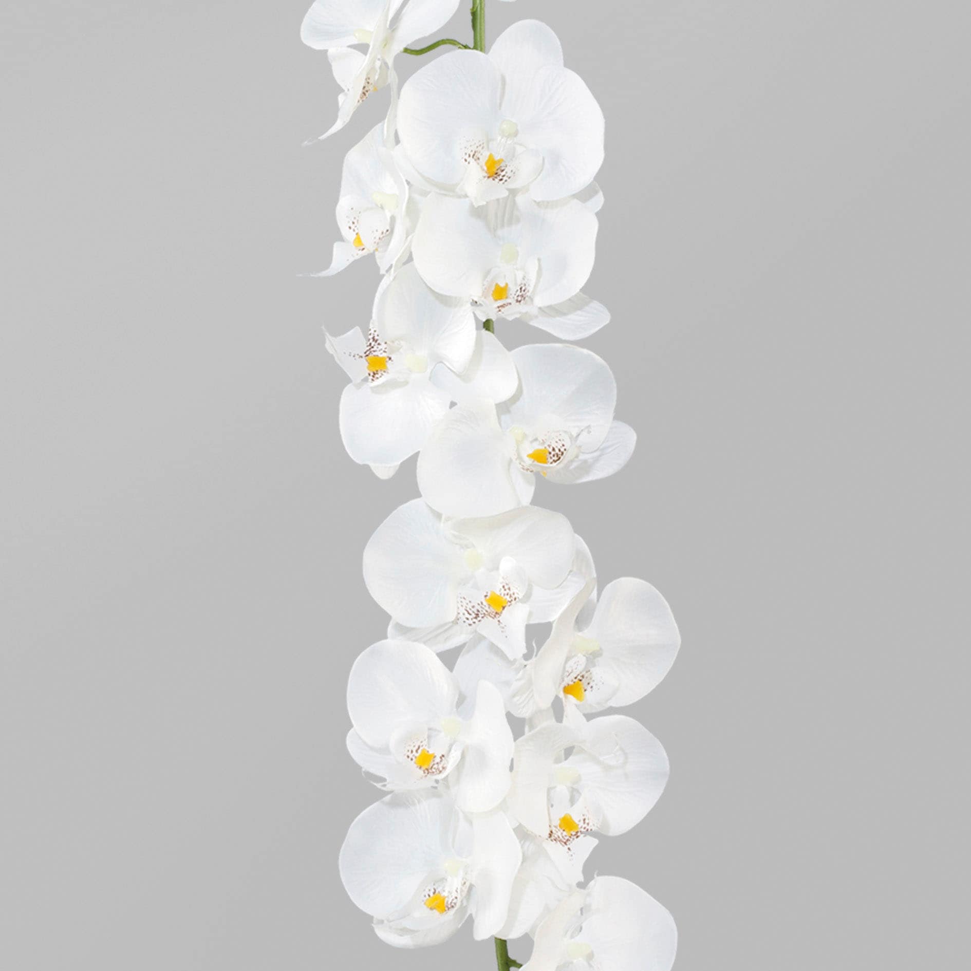 Creativ green Kunstgirlande »Orchideengirlande« von Creativ green