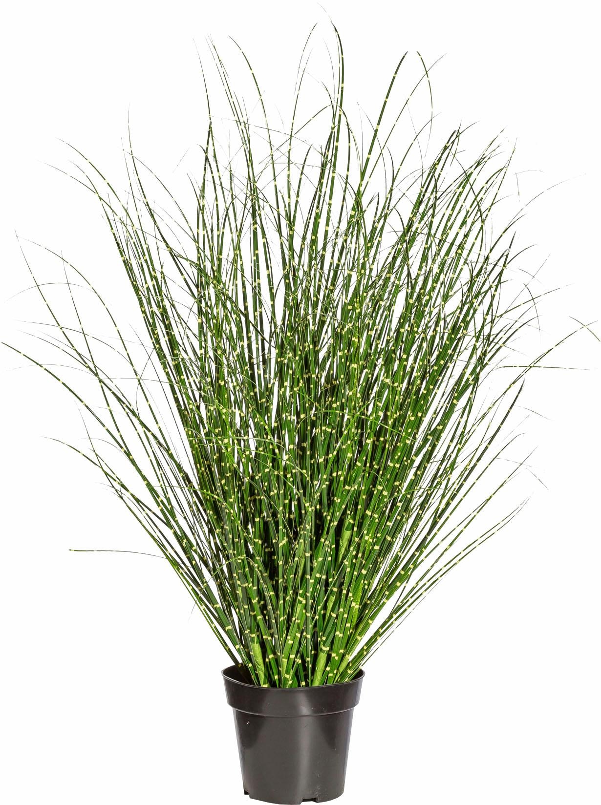 Creativ green Kunstgras »Miscanthus Zebrinus« von Creativ green