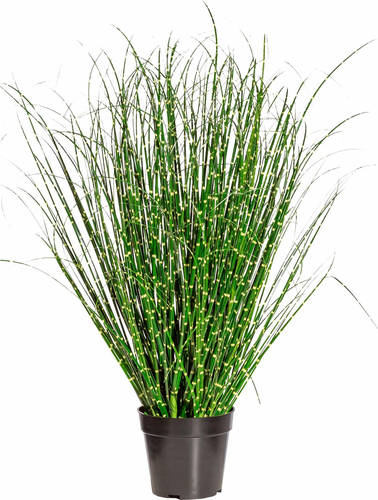 Creativ green Kunstgras »Miscanthus Zebrinus« von Creativ green