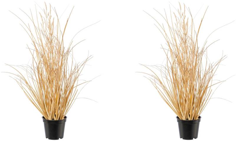 Creativ green Kunstgras »Grasbusch Carex« von Creativ green