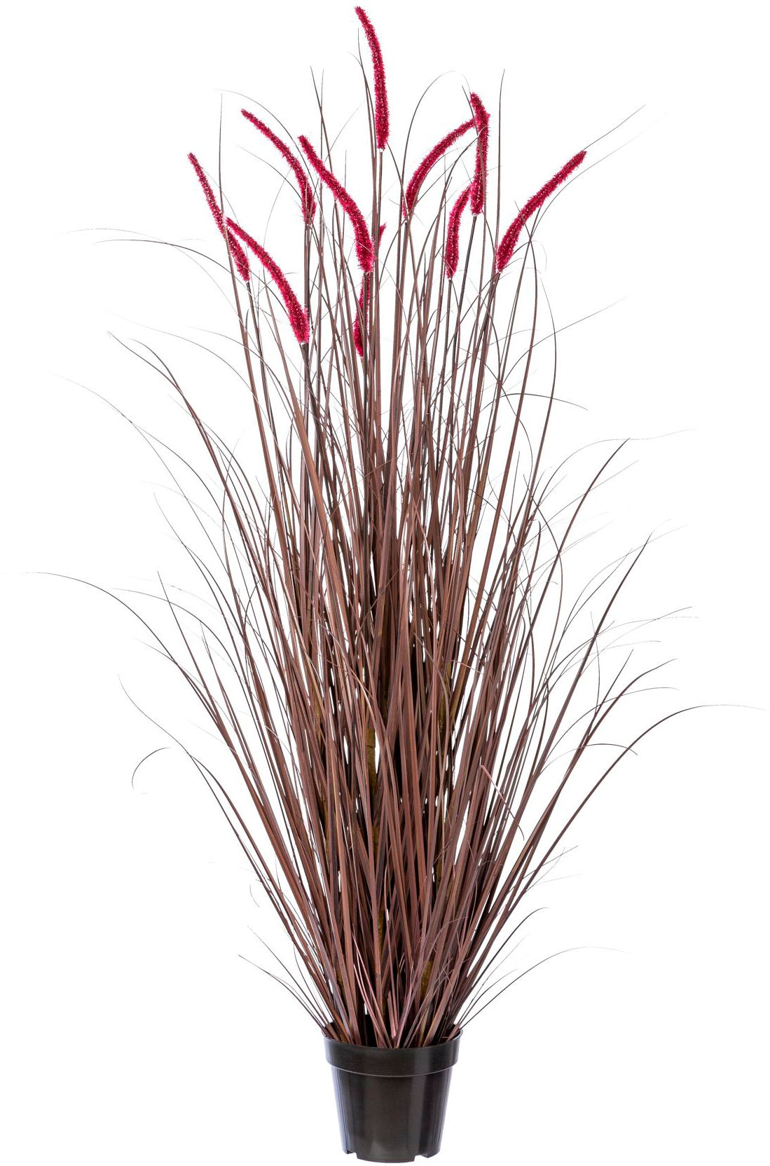 Creativ green Kunstgras »Grasbusch Pennisetum rubrum« von Creativ green