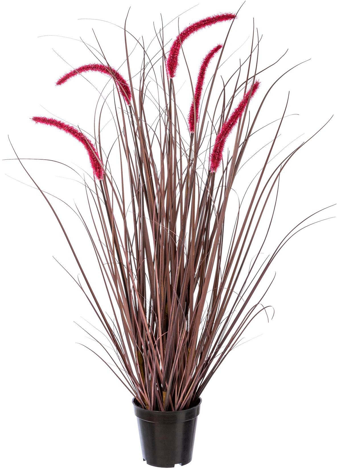 Creativ green Kunstgras »Grasbusch Pennisetum rubrum« von Creativ green